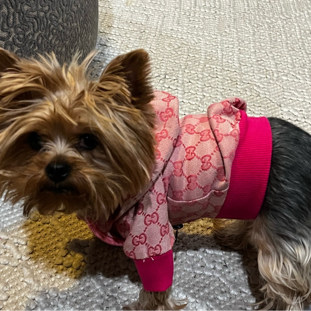 Beautiful inspired G doggy coat.  Message size - Picture 8 of 8
